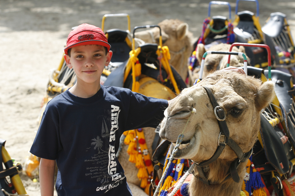 Camel trains will be running from the CBD to the race course for free all night. PHOTO: Errol Parker/AAP