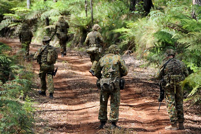 The Royal Tasmania Regiment, made up of mostly reserve troops, is on the front line in the search for the elusive tiger. PHOTO: Instagram.