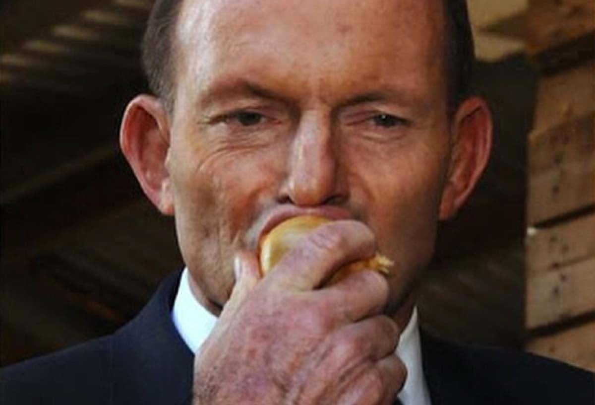 Tony Abbott mungs into a raw onion, a shocking act that has left many people questioning whether or not his history of boxing may have resulted in him suffering from early on-set dementia