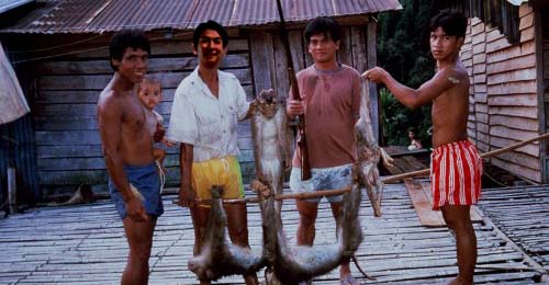 Even monkeys aren't off Mr Gui's hit list. PHOTO: Lone;y Planet Cambodia 