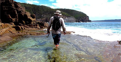 Nadgee Nature Reserve is pretty bloody beautiful. PHOTO: dpi.gov.au